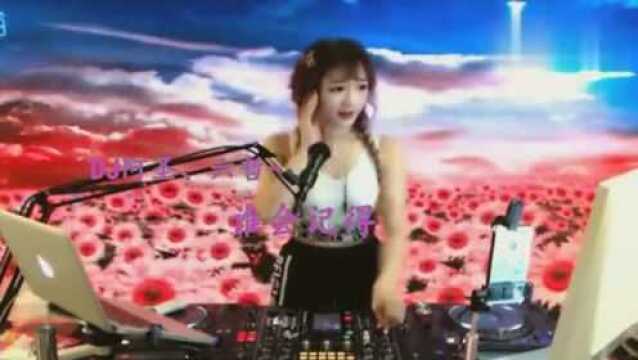 一曲《谁会记得》DJ版,真好听!