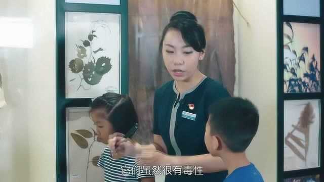 奇妙的博物馆故事:植物与人类