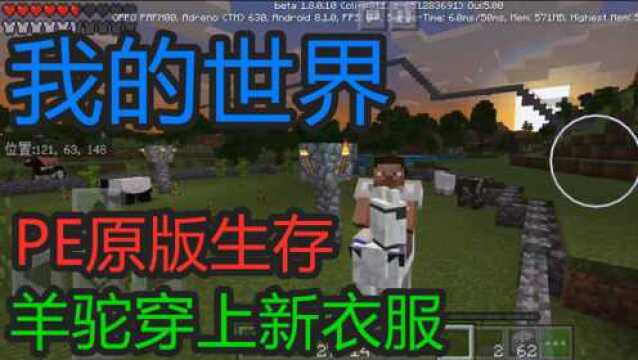 我的世界原版生存EP41羊驼穿上了新衣服