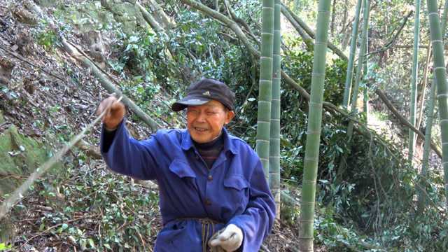 农村大山里的烧炭翁,用三十年的木材烧炭,卖价却这么便宜