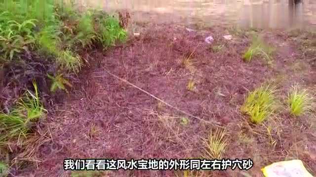 带你去广西陆川沙坡,看看大师稍牙曾作点丘氏宝地仰天螺