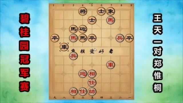 王郑象棋争霸:王天一下棋浪里个浪,郑惟桐后手无力回天