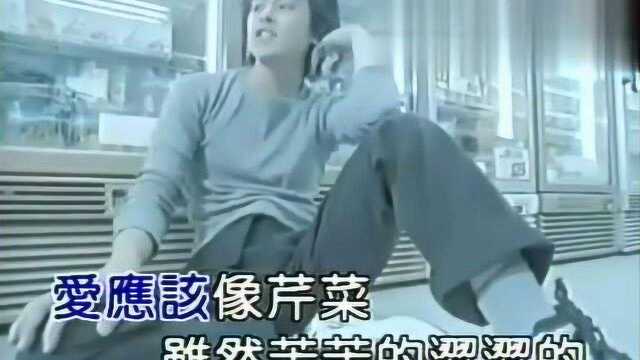 林志颖当年很火的歌终于找到了,高清版MV,“芹菜”味道的爱情!