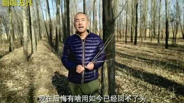 改编歌曲,四十出头,唱出男人第二春的悔恨难当,肠子都悔青了