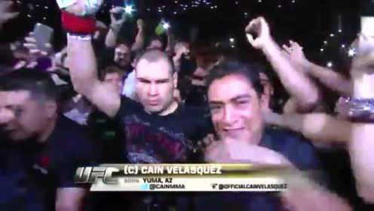 Cain Velasquez vs Fabricio Werdum