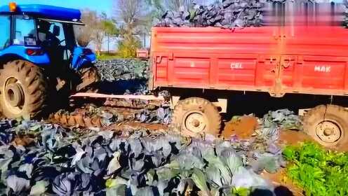 Thumbplayer Poster Plugin Image