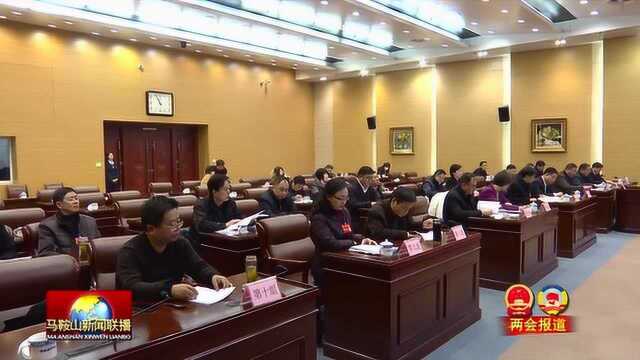 马鞍山市政协十届第9次主席会议召开