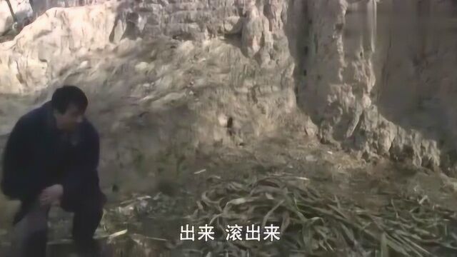 农村村民去知青点叫骂,一个知青看到不愿意了,随即双方扭打起来