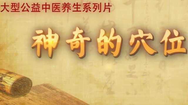 痞根穴:缓解腰痛,不求人!按一按这里有奇效!神奇的穴位新版视频