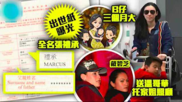 张柏芝将“小王子”送去加拿大由家姐照顾,姐姐戴碧芝美貌不输柏芝