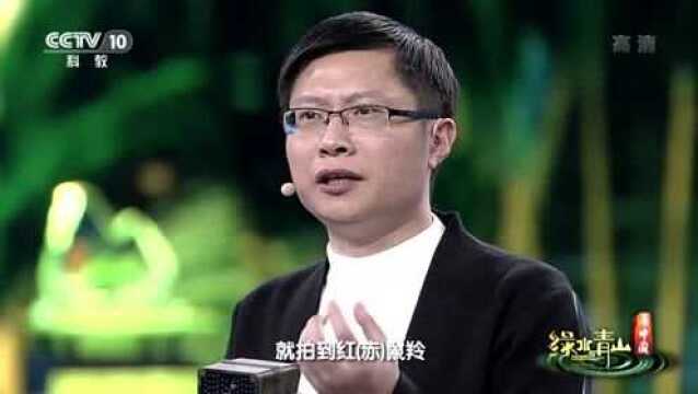 绿水青山看中国丨现代科技立功 发现我国新物种