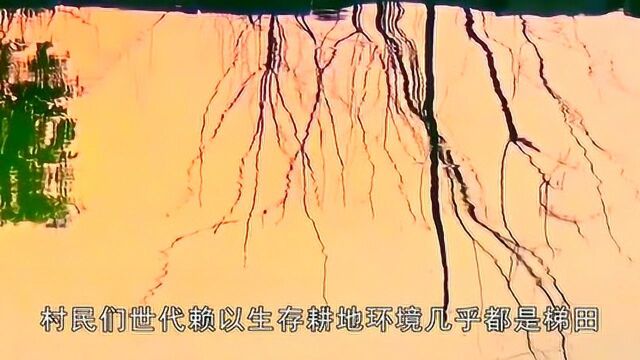 故有“世外桃源”之称的“岳家寨”,为什么会在太行山之巅落户?