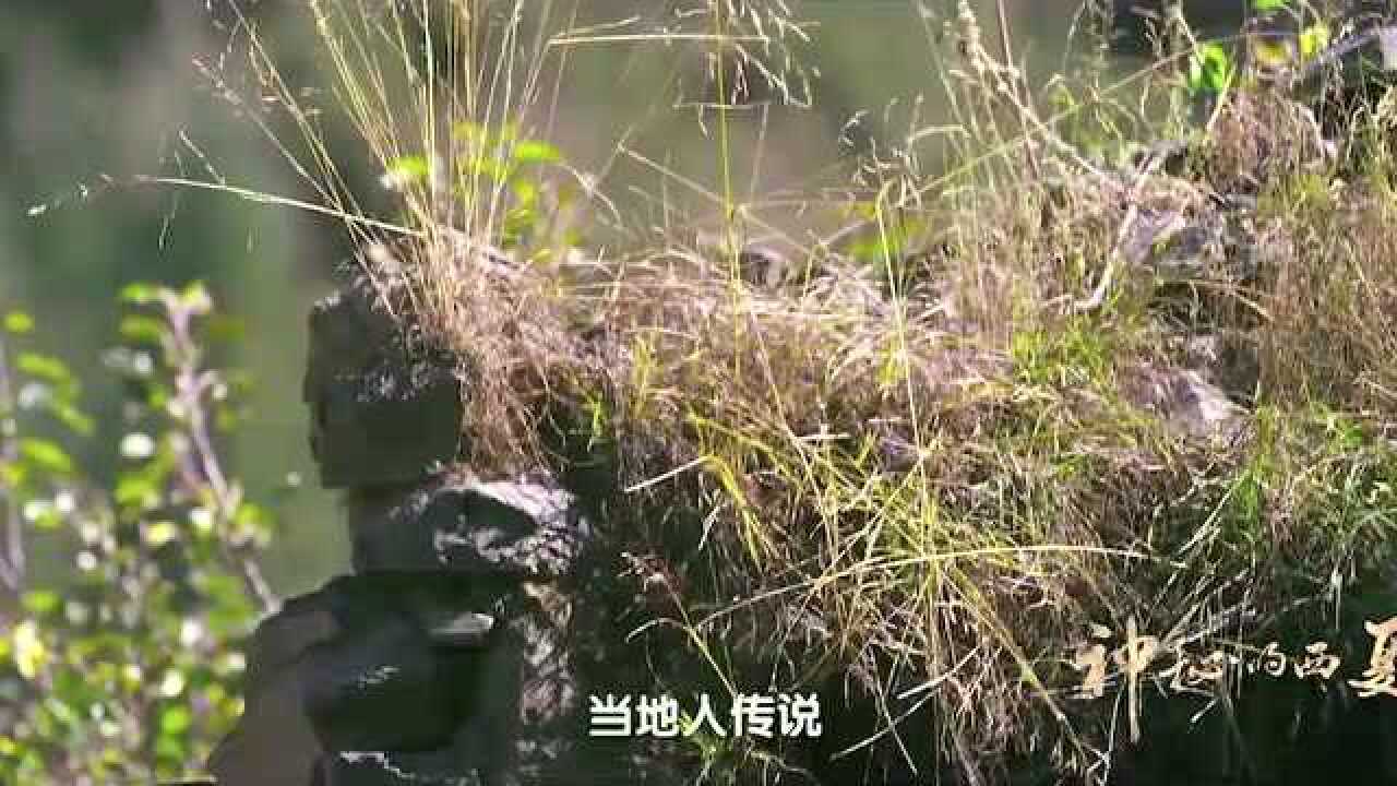 失落的国度西吴尔王国坐落在川西高原现场的遗迹让人印象深刻