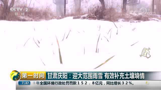 第一时间:甘肃庆阳迎大范围雨雪,有效补充土壤