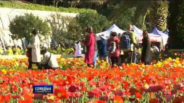 美丽昆明 美好生活 市民获得感 幸福感进一步提升