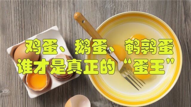 鸡蛋、鹅蛋、鹌鹑蛋,谁才是真正的“蛋王”?真相总是出人意料