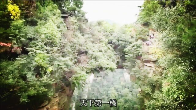 旅游简介:张家界风景区世界第一梯和天下第一桥