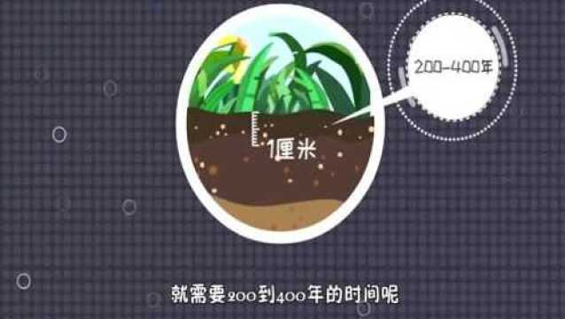 为什么说黑土是最肥沃的土壤?亲子百科