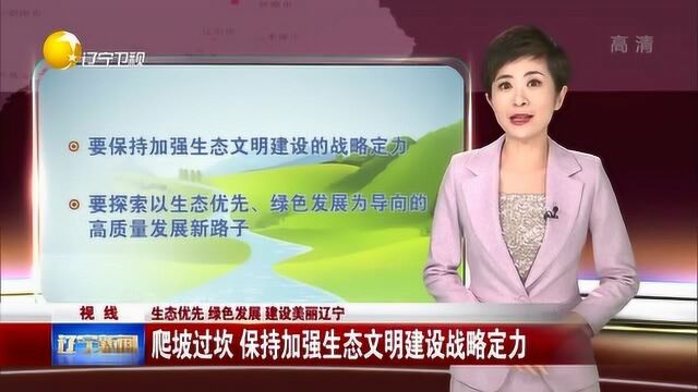 辽宁:爬坡过坎,保持加强生态文明建设战略定力