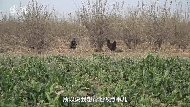 白博士的乡村实践:与三农民搭伙建农场