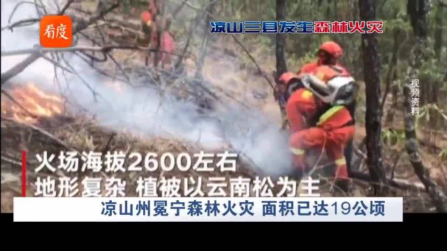 凉山冕宁森林火灾 过火面积达19公顷 投入490人扑救