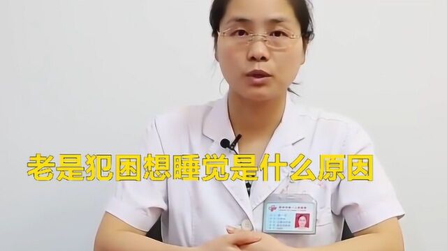 老是犯困想睡觉是什么原因