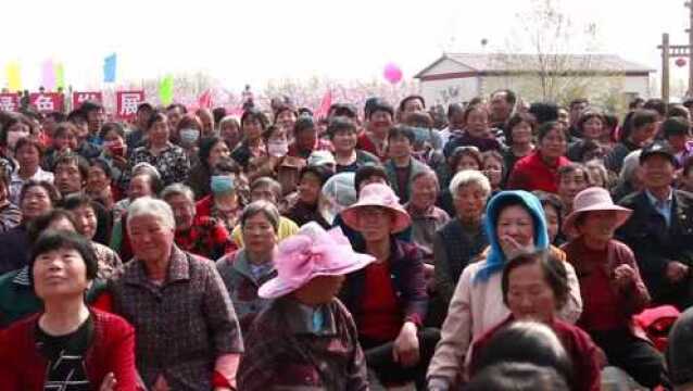 宝坻区第四届桃花文化旅游节开幕+精彩演出