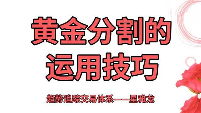 黄金比例分割线5大原则,黄金分割线的精准画法黄金分割怎么使用