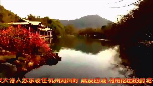 阳春三月下江南杭州西湖风景名胜区苏堤春晓