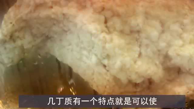 传说中的“千年肉灵芝”,1克价值上万元,为什么要卖这么贵?