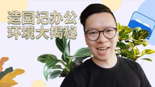 你的办公室是不是缺少一些绿植?