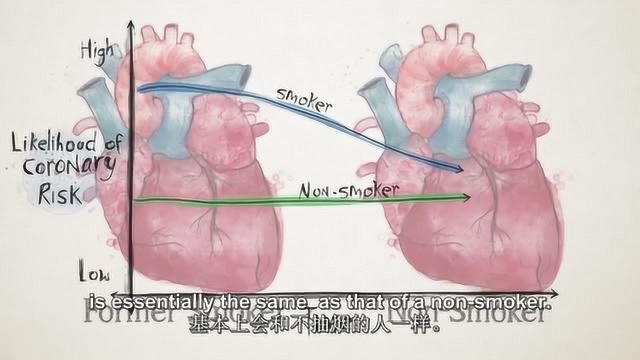 英文TED科普:吸烟是如何影响你的身体的?