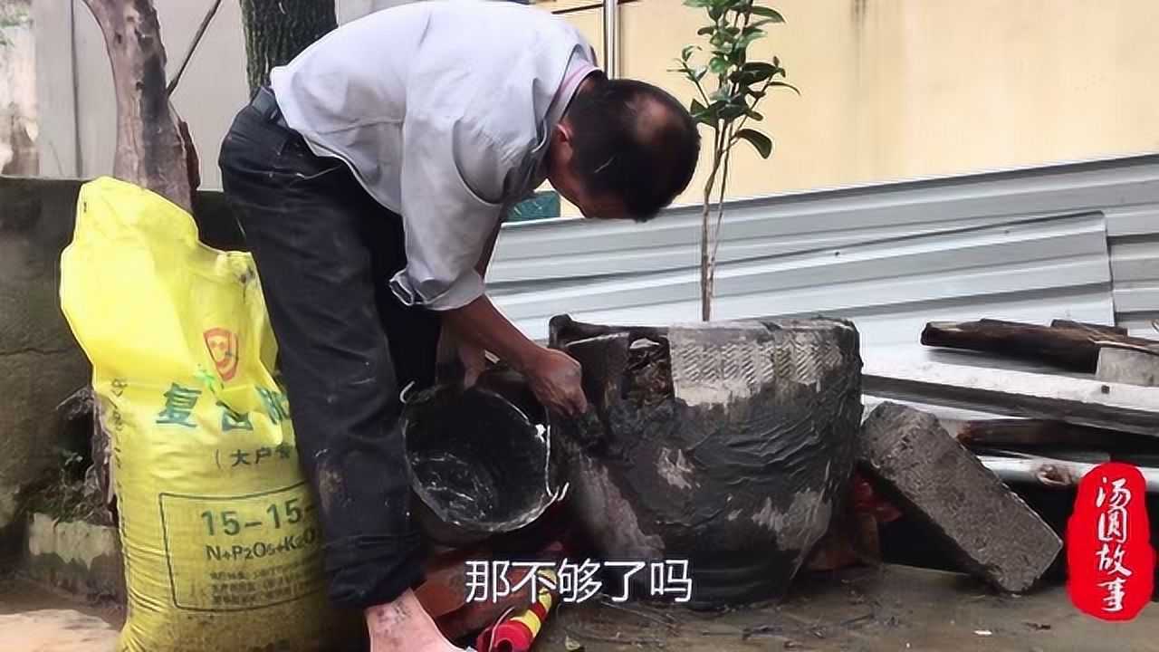 公公养茶花的大缸碎了一家人用一下午陪他修补边补边碎真欢乐