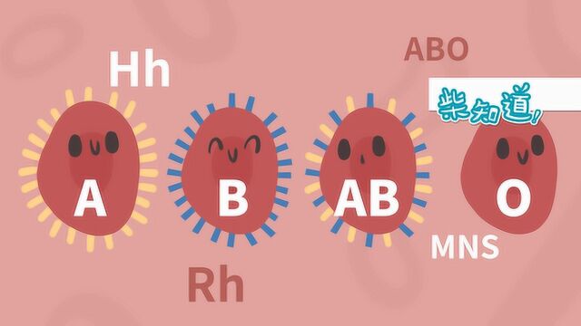 为什么A型和O型血的父母,却生下了B型血的孩子?