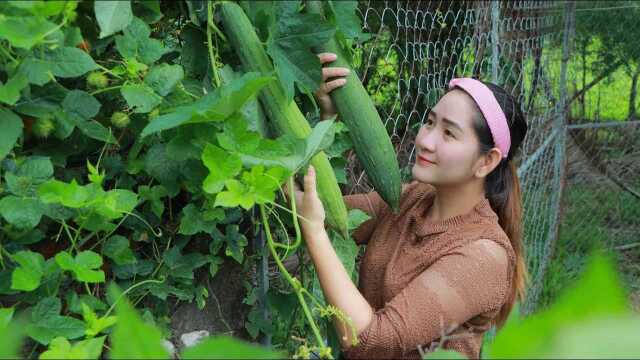 动手自然美食:做美味鱼片丝瓜汤