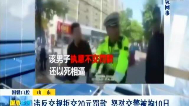 违反交规拒交20元罚款 怒怼交警被拘10日