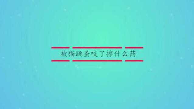 被跳蚤咬了擦什么药?