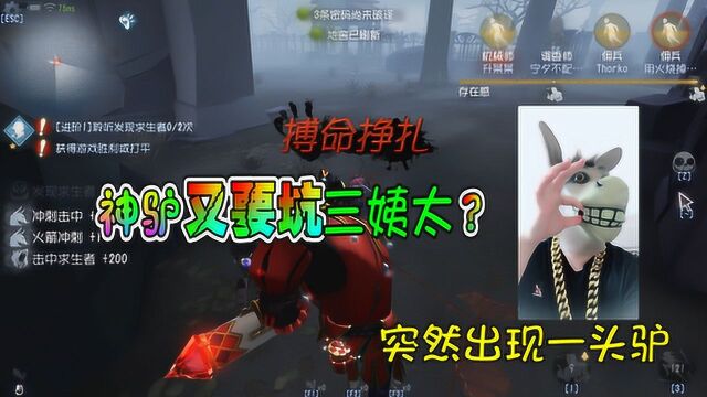 第五人格:三姨太来给客官挠痒痒啦!神驴也要掺和一脚?