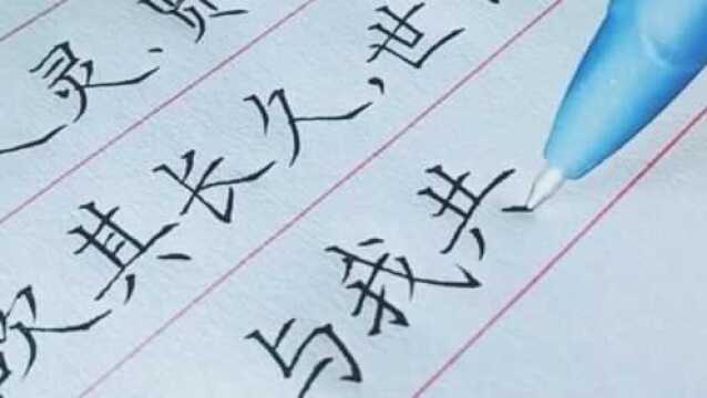 硬笔书法,楷书,一手好字,百看不厌