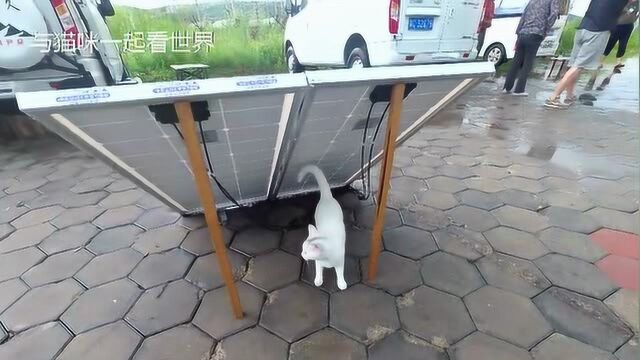 阿尔山房车营地大雨过后