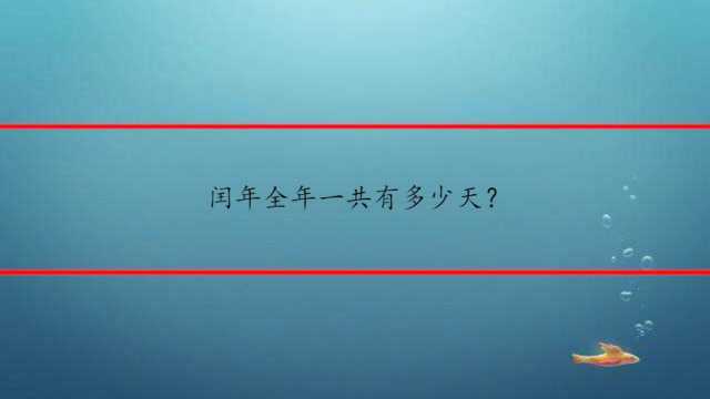 闰年全年一共有多少天?