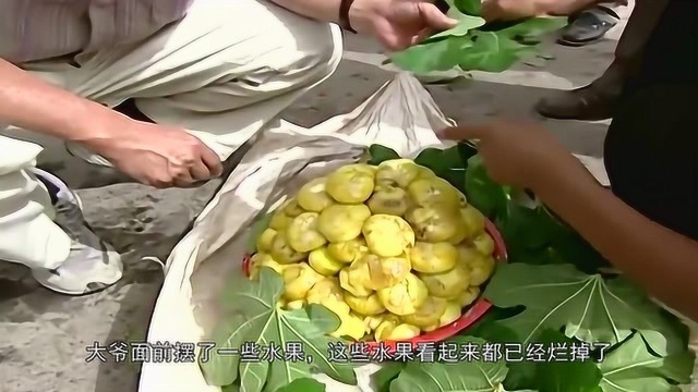 新疆无花果独有的吃法?必须压扁,烂掉的更好吃