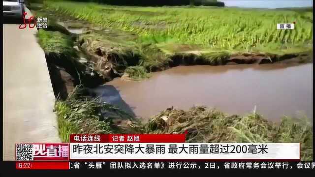 黑龙江:北安市突降大暴雨,最大雨量超200毫米,农田积水严重