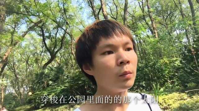 合肥汤池相思林公园,走在公园里,仿佛一幅画