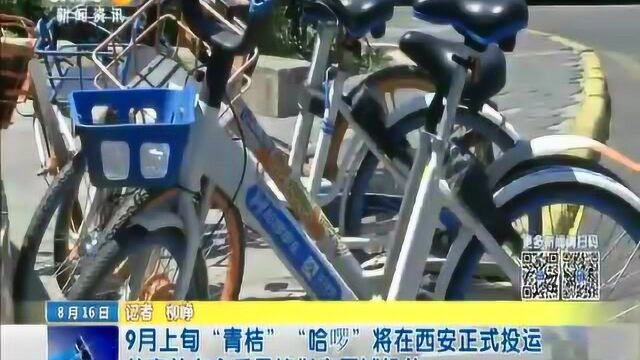 “青桔”“哈啰”将在西安正式投运 共享单车需按指定区域投放