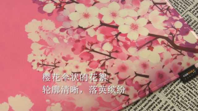 最能俘虏宅男的樱花鼠标垫,QPAD CD45开箱Show