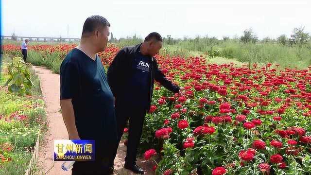 马志祥:富民强村路上的领头人