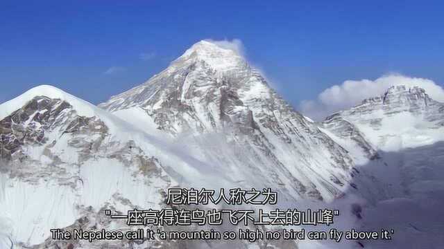 被人们称作'鸟都飞不过的山峰',五万多只鹤,正在进行挑战!