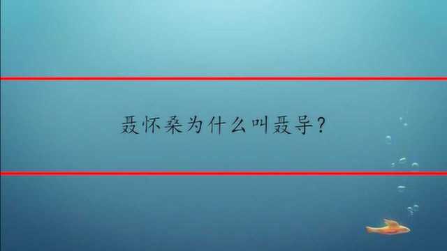 聂怀桑为什么叫聂导?