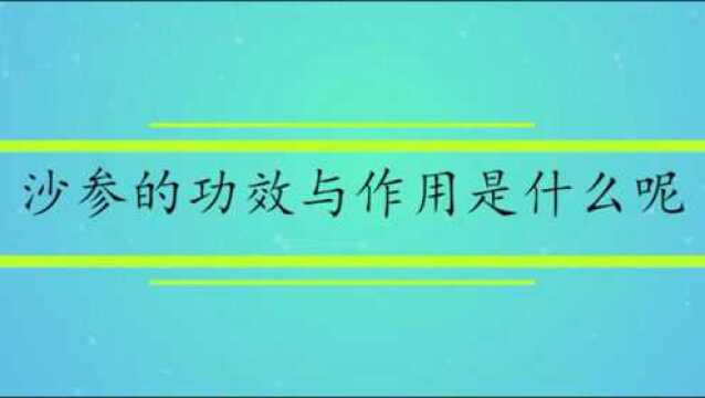 沙参的功效与作用是什么呢